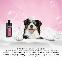 Groom Professional Almond Detangle Shampoo[Volume - 450 ml].webp