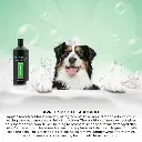 Groom Professional Apple Smooth Shampoo[Volume - 4 litre] (1).webp