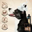 Groom Professional Argan Oil Shampoo[Volume - 4 litre] (3).webp