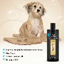 Groom Professional Argan Oil Shampoo[Volume - 4 litre] (2).webp