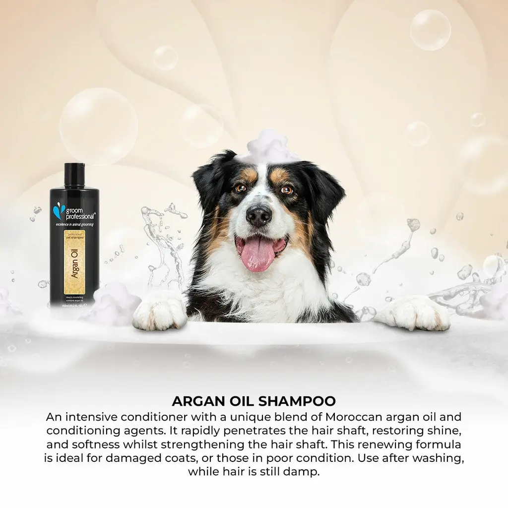 Groom Professional Argan Oil Shampoo[Volume - 4 litre] (1).webp