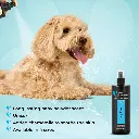 Groom Professional Baby Fresh Cologne (Perfume)[Volume - 500ml] (2).webp