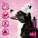Groom Professional Berry Blast Shampoo[Volume - 450 ml].webp