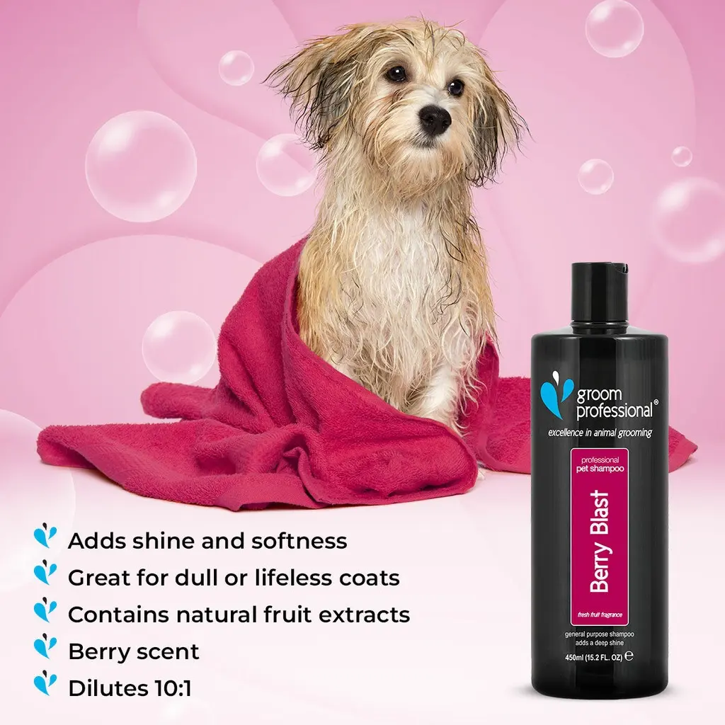 Groom Professional Berry Blast Shampoo[Volume - 450 ml] (1).webp