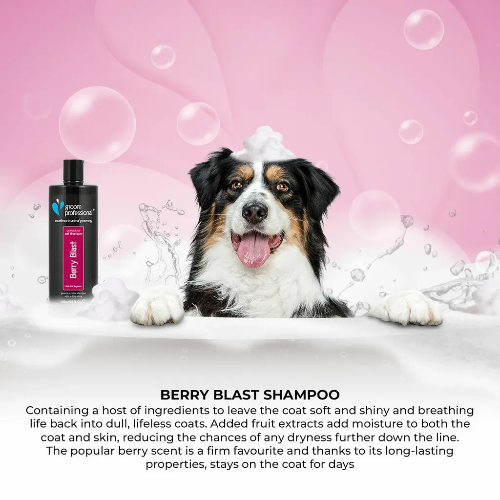 Groom Professional Berry Blast Shampoo[Volume - 450 ml] (2).webp