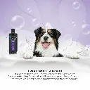 Groom Professional Bright White Shampoo[Volume - 450 ml] (2).webp