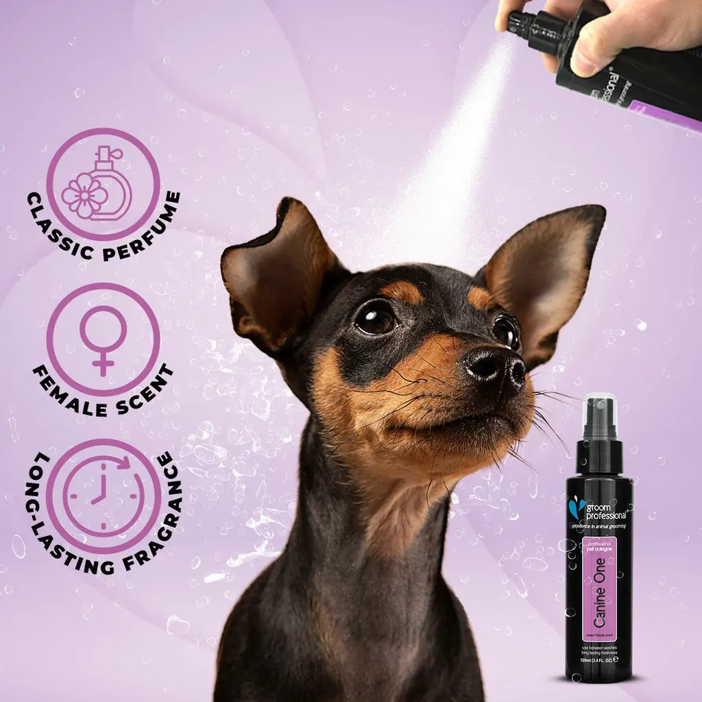 Groom Professional Canine One Cologne_Perfume[Flavor - Sweet Female Fragrance, Volume - 100ml] (1).webp
