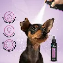 Groom Professional Canine One Cologne_Perfume[Flavor - Sweet Female Fragrance, Volume - 100ml] (1).webp