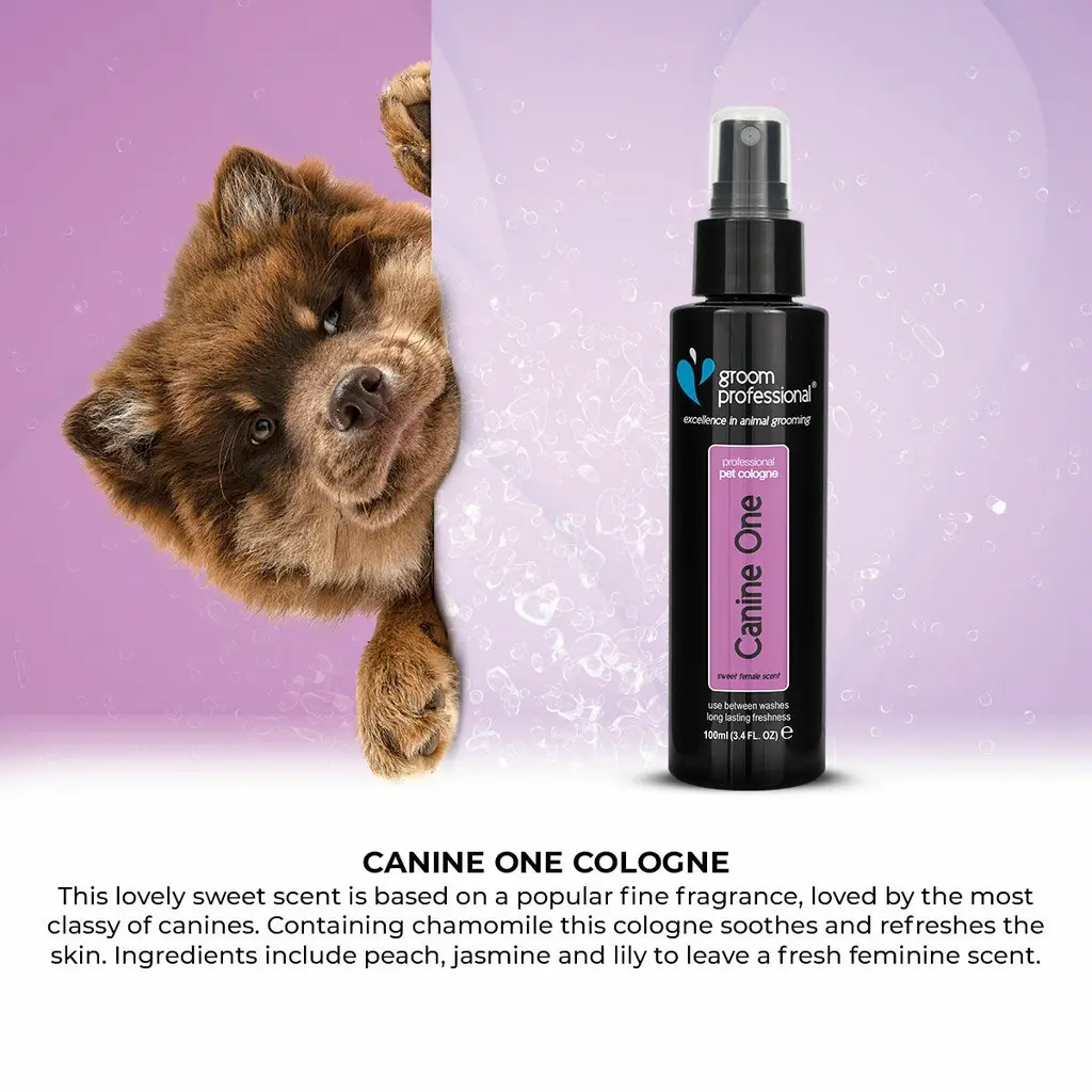 Groom Professional Canine One Cologne_Perfume[Flavor - Sweet Female Fragrance, Volume - 100ml] (3).webp