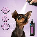 Groom Professional Canine One Cologne_Perfume[Flavor - Sweet Female Fragrance, Volume - 500ml] (1).webp