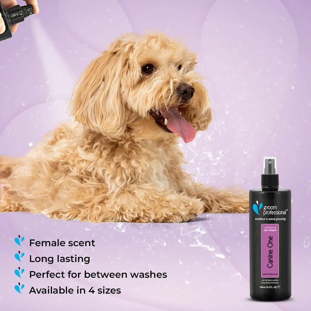 Groom Professional Canine One Cologne_Perfume[Flavor - Sweet Female Fragrance, Volume - 500ml] (2).webp