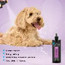 Groom Professional Canine One Cologne_Perfume[Flavor - Sweet Female Fragrance, Volume - 500ml] (2).webp