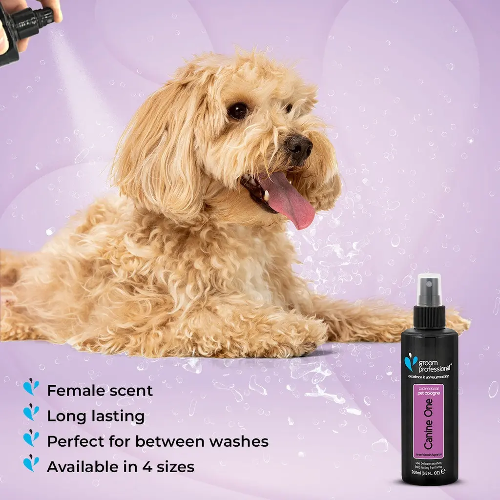 Groom Professional Canine One Cologne_Perfume[Volume - 200 ml, Flavor - Sweet Female Fragrance] (2).webp