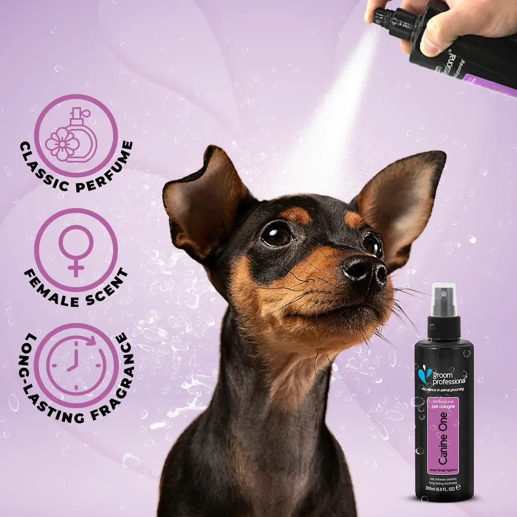 Groom Professional Canine One Cologne_Perfume[Volume - 200 ml, Flavor - Sweet Female Fragrance] (1).webp