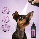 Groom Professional Canine One Cologne_Perfume[Volume - 200 ml, Flavor - Sweet Female Fragrance] (1).webp