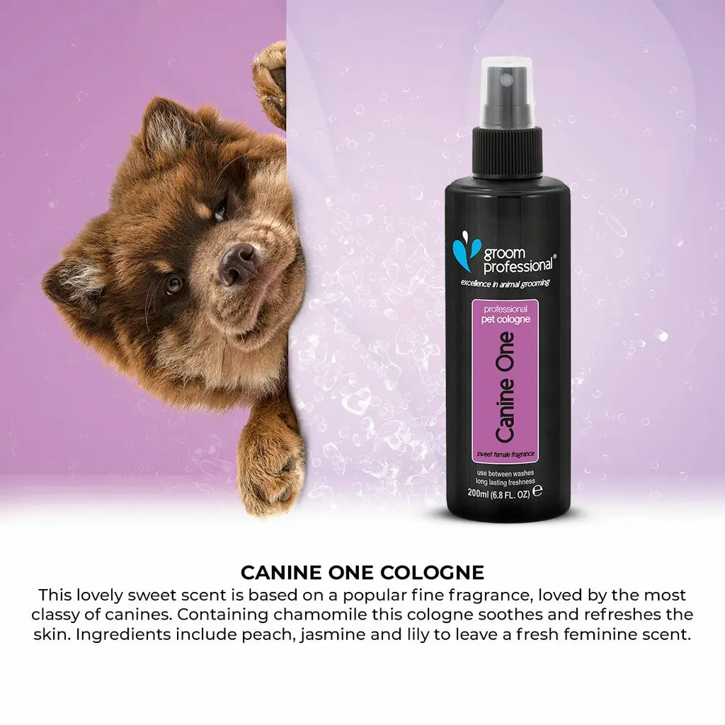 Groom Professional Canine One Cologne_Perfume[Volume - 200 ml, Flavor - Sweet Female Fragrance] (3).webp