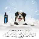 Groom Professional Coconut Moisturising Shampoo[Volume - 450 ml].webp