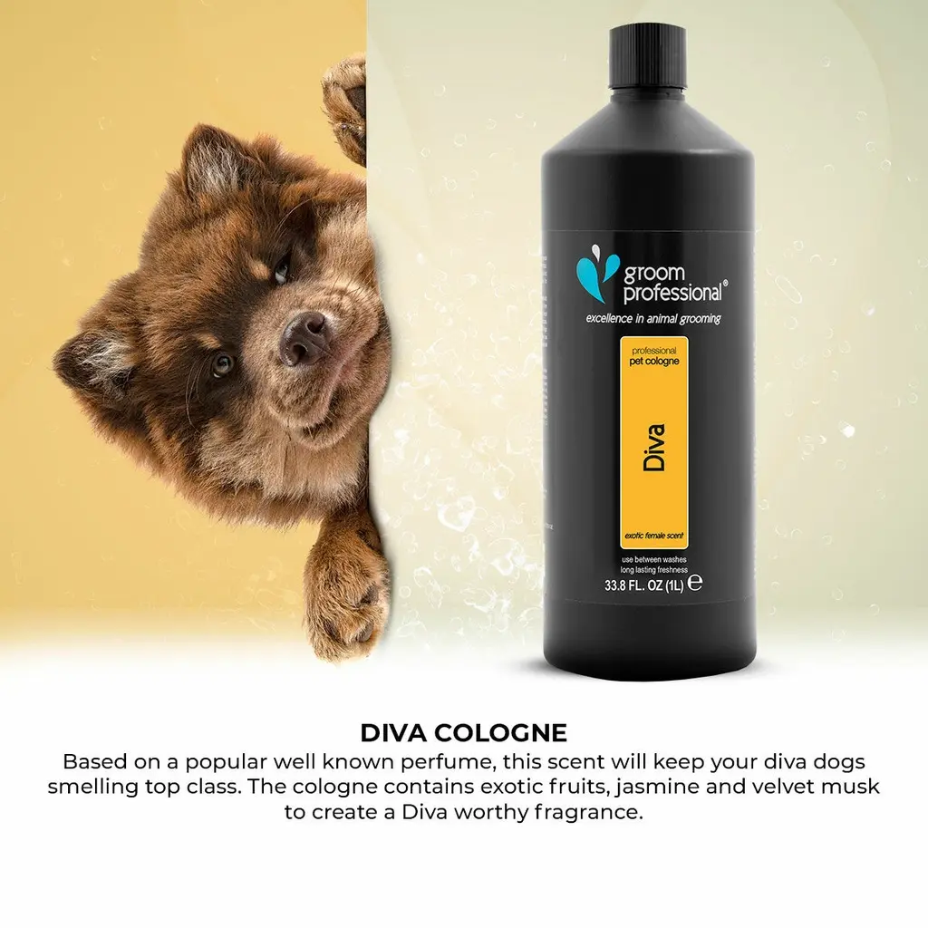 Groom Professional Diva Cologne (Perfume)[Flavor - Exotic Female Scent, Volume - 1L] (2).webp