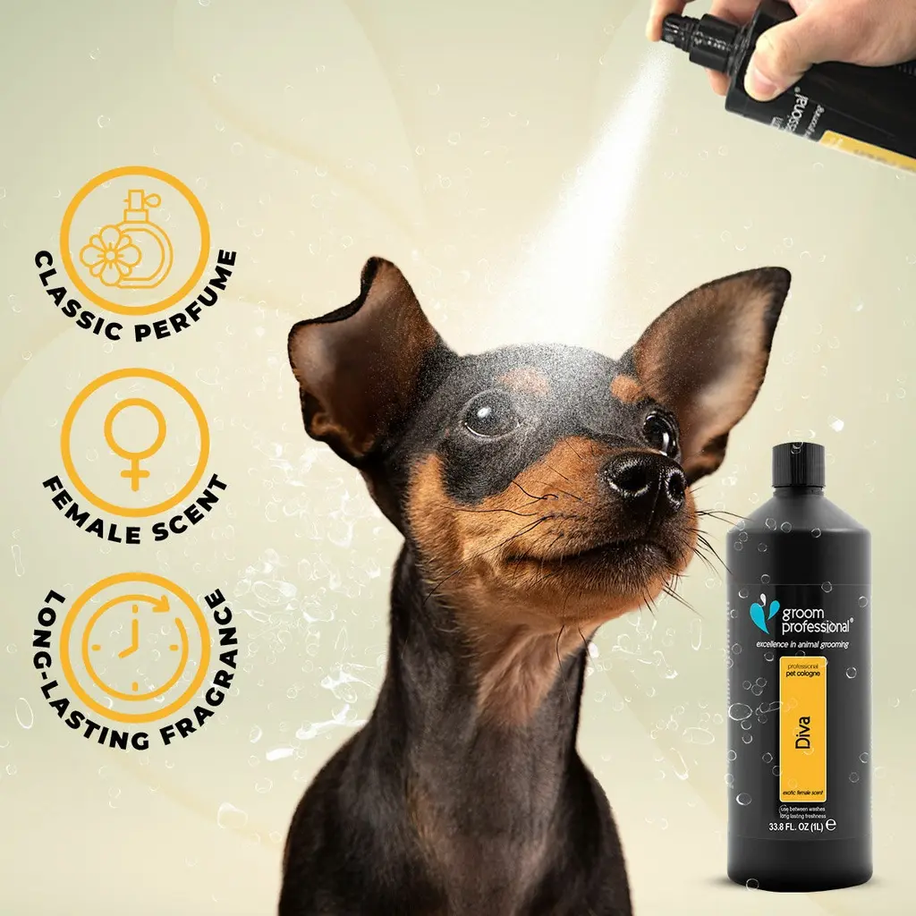 Groom Professional Diva Cologne (Perfume)[Flavor - Exotic Female Scent, Volume - 1L].webp