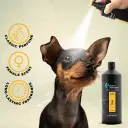 Groom Professional Diva Cologne (Perfume)[Flavor - Exotic Female Scent, Volume - 1L].webp