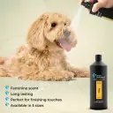 Groom Professional Diva Cologne (Perfume)[Flavor - Exotic Female Scent, Volume - 1L] (1).webp
