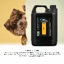 Groom Professional Diva Cologne (Perfume)[Volume - 4 litre, Flavor - Exotic Female Scent] (3).webp