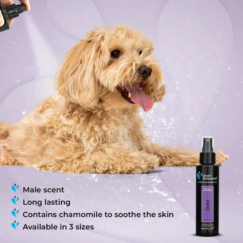 Groom Professional Duke Pet Cologne_Perfume[Volume - 100 ml] (4).webp
