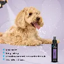 Groom Professional Duke Pet Cologne_Perfume[Volume - 100 ml] (4).webp