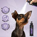 Groom Professional Duke Pet Cologne_Perfume[Volume - 100 ml] (3).webp