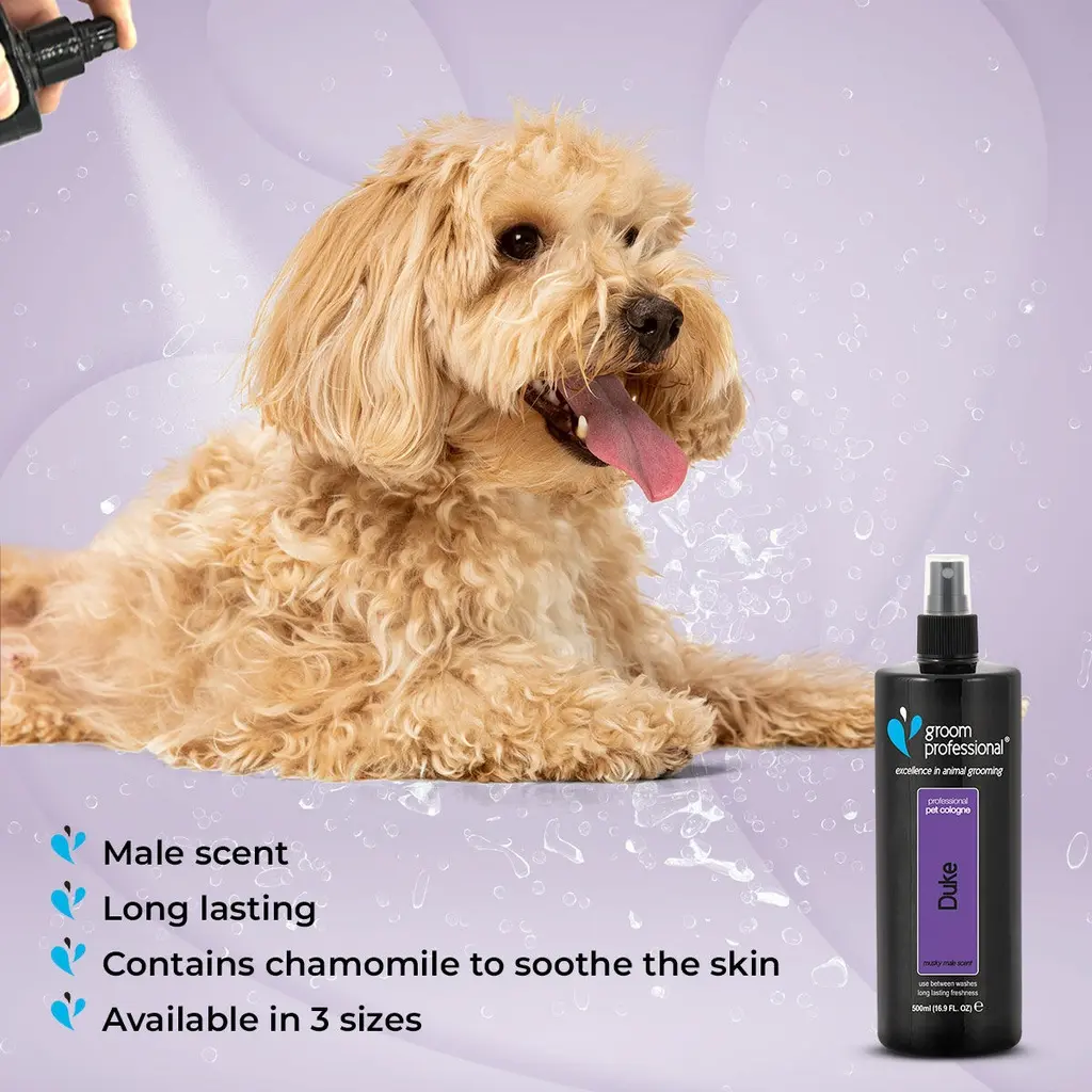 Groom Professional Duke Pet Cologne_Perfume[Volume - 500 ml] (6).webp