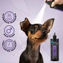 Groom Professional Duke Pet Cologne_Perfume[Volume - 500 ml] (5).webp