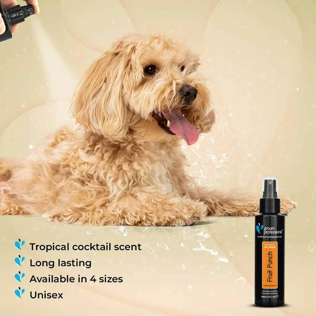 Groom Professional Fruit Punch Cologne (Perfume)[Flavor - Tropical Cocktail Scent, Volume - 100ml] (2).webp