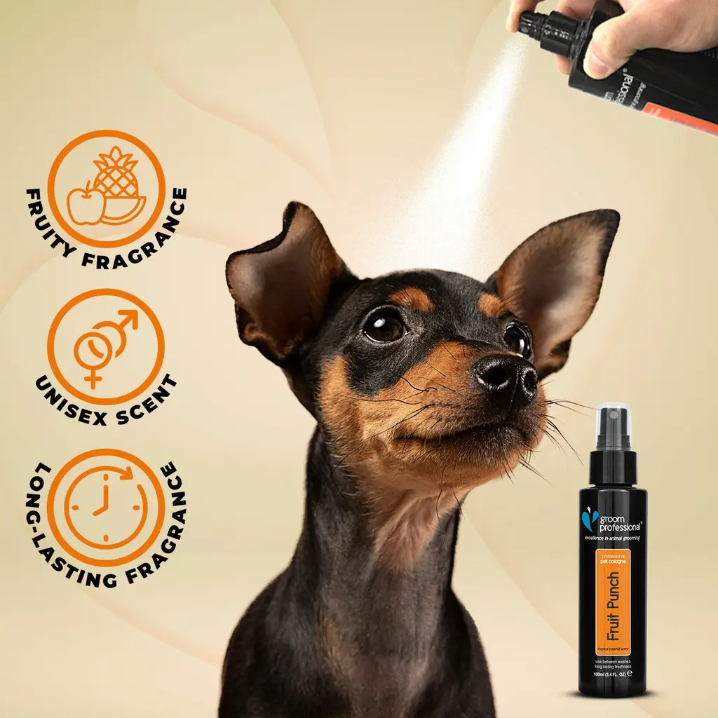 Groom Professional Fruit Punch Cologne (Perfume)[Flavor - Tropical Cocktail Scent, Volume - 100ml] (1).webp