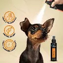 Groom Professional Fruit Punch Cologne (Perfume)[Flavor - Tropical Cocktail Scent, Volume - 100ml] (1).webp