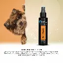 Groom Professional Fruit Punch Cologne (Perfume)[Flavor - Tropical Cocktail Scent, Volume - 100ml] (3).webp