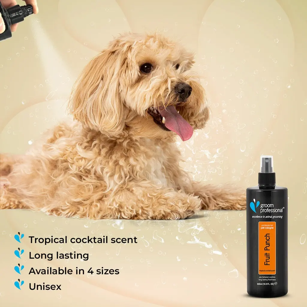 Groom Professional Fruit Punch Cologne (Perfume)[Flavor - Tropical Cocktail Scent, Volume - 500ml] (2).webp