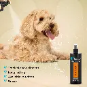 Groom Professional Fruit Punch Cologne (Perfume)[Flavor - Tropical Cocktail Scent, Volume - 500ml] (2).webp