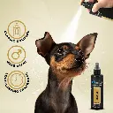 Groom Professional Imperial Cologne 200ml[Volume - 200ml] (1).webp
