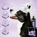Groom Professional Iris & Amber Shampoo[Volume - 450 ml, Flavor - Iris & Amber] (1).webp