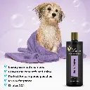 Groom Professional Iris & Amber Shampoo[Volume - 450 ml, Flavor - Iris & Amber] (2).webp