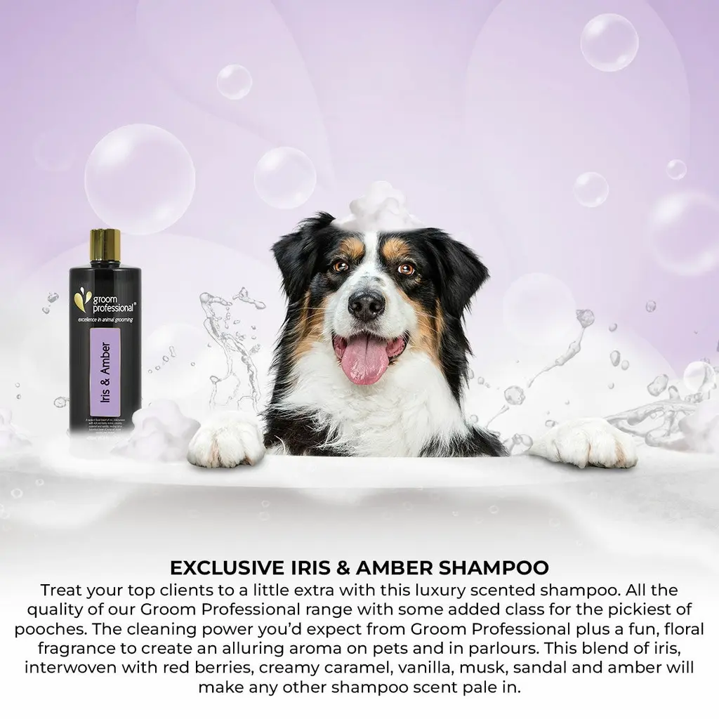 Groom Professional Iris & Amber Shampoo[Volume - 450 ml, Flavor - Iris & Amber] (3).webp