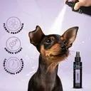 Groom Professional Lavender Cologne[Volume - 100ml] (1).webp