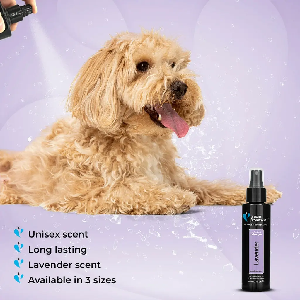 Groom Professional Lavender Cologne[Volume - 100ml] (2).webp