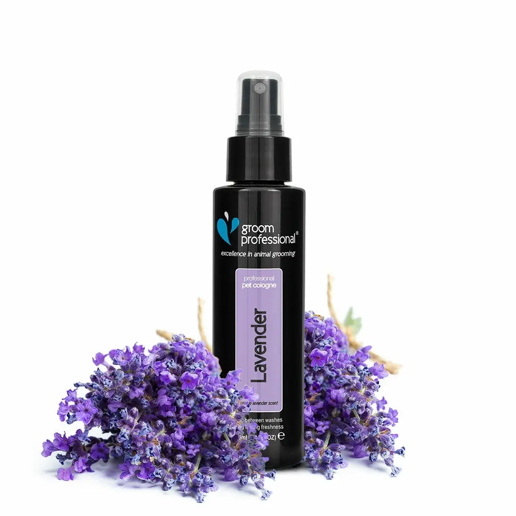 Groom Professional Lavender Cologne[Volume - 100ml].webp