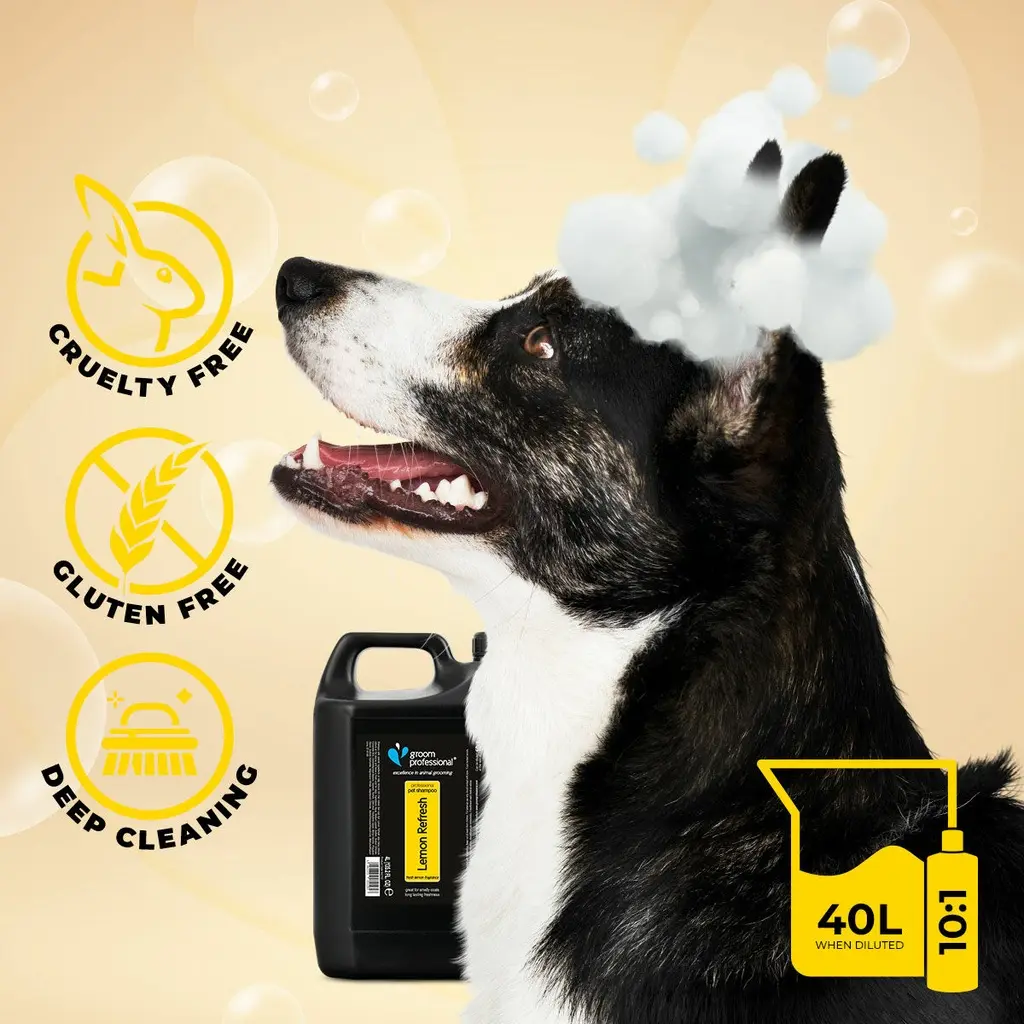Groom Professional Lemon Refresh Shampoo[Volume - 4 litre, Flavor - Fresh Lemon] (1).webp