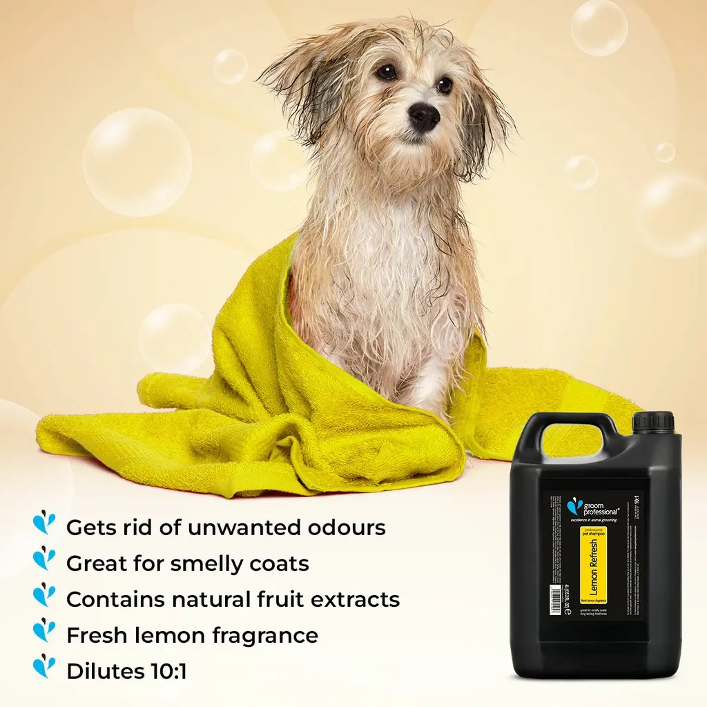 Groom Professional Lemon Refresh Shampoo[Volume - 4 litre, Flavor - Fresh Lemon] (2).webp