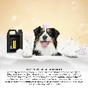 Groom Professional Lemon Refresh Shampoo[Volume - 4 litre, Flavor - Fresh Lemon] (3).webp