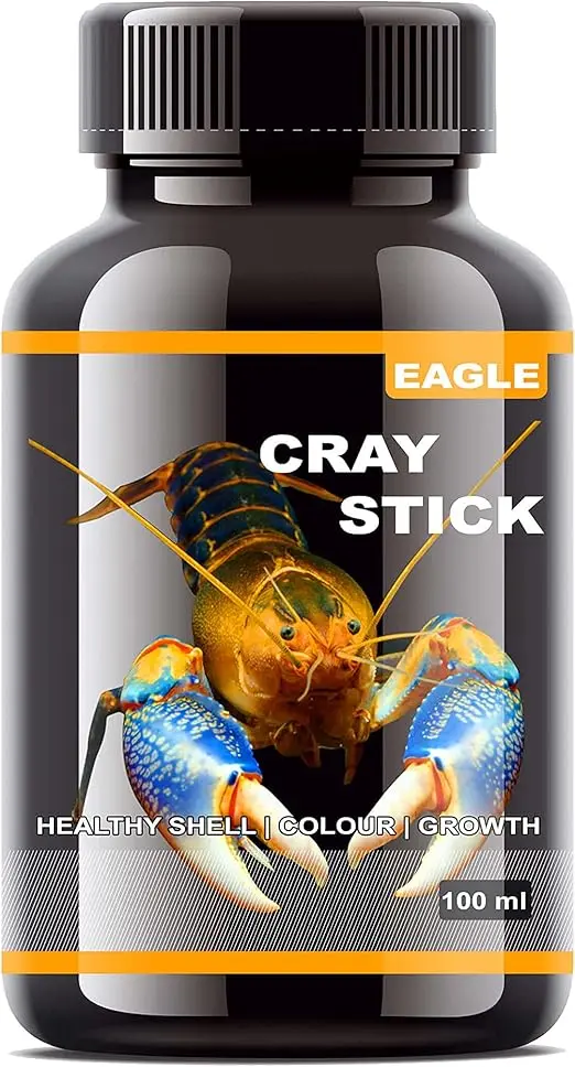 71XqFAgDgJS._AC_SX522_.webp