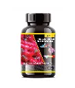 [8904406372001] Horizone Eagle Freeze Dried Blood Worms - 100 ml.webp