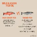 Schesir Grizzly Wild Alaskan Fish Oil Omega Plus 500ml (2).webp